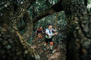 BIB: 
                            <button type="button" onclick="openModal(25392169)" class="btn btn-primary btn-sm float-right btn-popup" data-toggle="modal" data-target=".modal-high-quality">
                        <i class="fas fa-shopping-cart"></i> Add to Cart
                    </button>
                                            <button type="button" onclick="isThisMe(25392169, true)" class="btn btn-success btn-sm float-right btn-popup btn-isme hidden" data-toggle="tooltip" data-placement="bottom" title="นี่คือรูปของคุณใช่ไหม คลิกที่นี่เพื่อเอาเข้าอัลบั้ม">
                        <i class="fas fa-plus"></i> Add to album
                    </button>
                    <button type="button" onclick="isThisMe(25392169, false)" class="btn btn-warning btn-sm float-right btn-popup btn-isnotme hidden">
                        <i class="fas fa-ban"></i> Remove from album
                    </button>